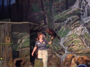 Eagle Mountain Sanctuary show