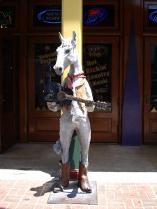 Horse playing guitar
