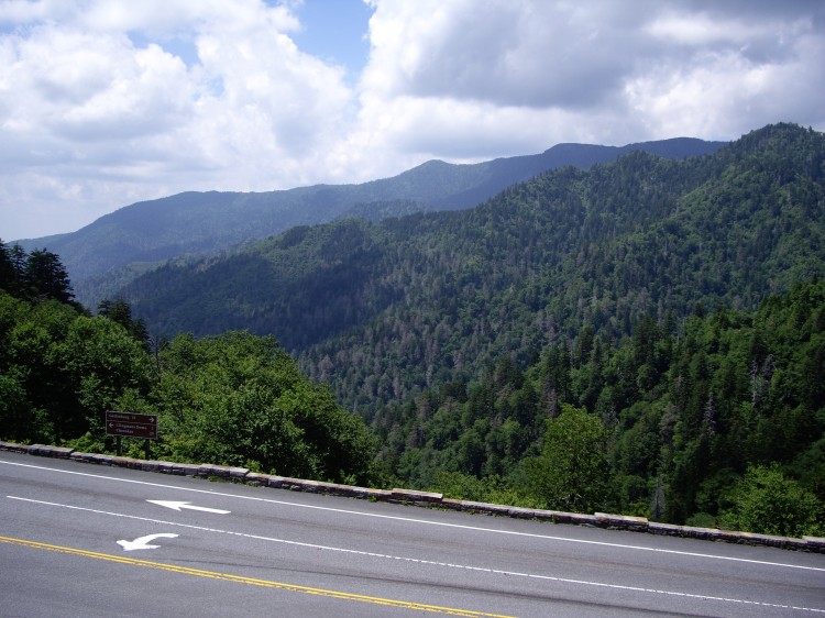 Newfound Gap - TN/NC State Line