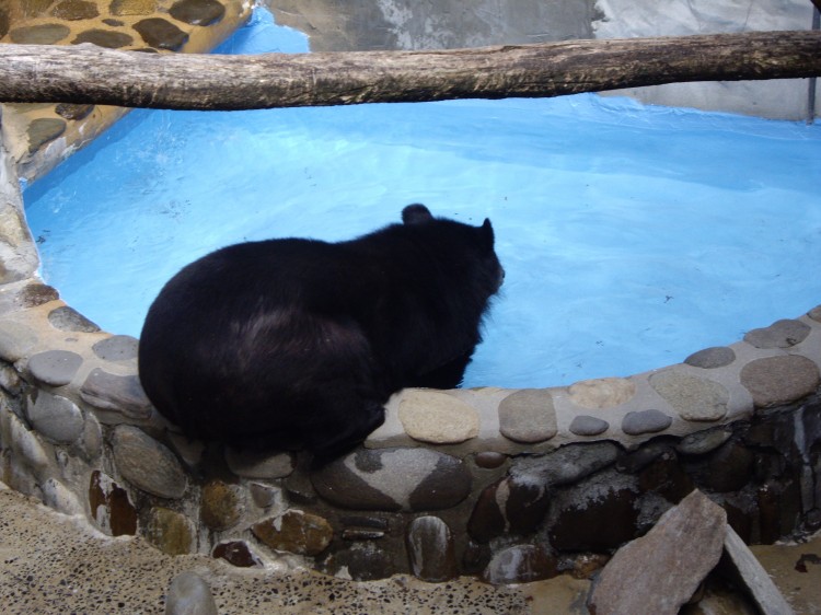 Time to cool off!